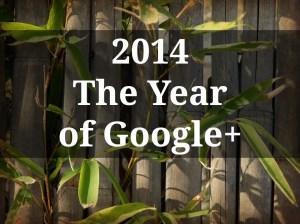 bamboo wall with plants, 2014 The Year of Google+